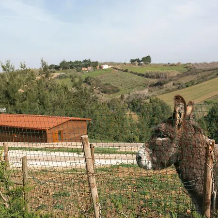Quinta Dos Castanheiros