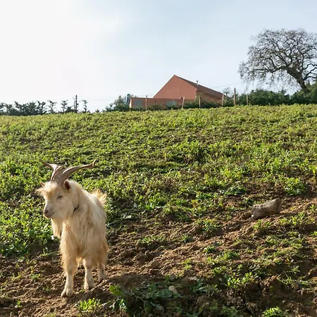Quinta Dos Castanheiros *