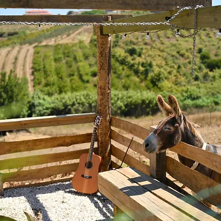 Ferienhaus Quinta Dos Castanheiros *