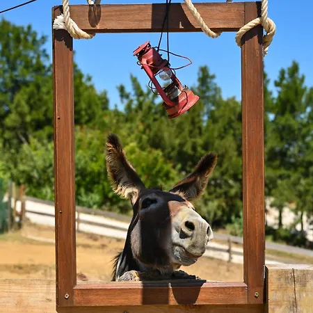 Quinta Dos Castanheiros Ferienhaus