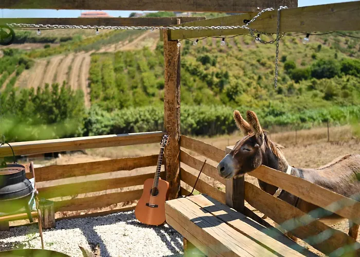 別荘 Quinta Dos Castanheiros *