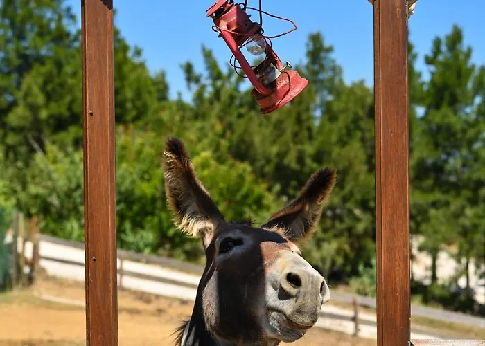 Quinta Dos Castanheiros 別荘